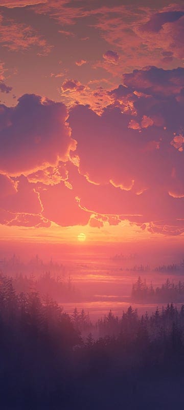 aesthetic