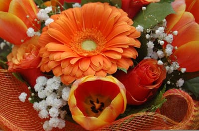 orange flowers, gerbera daisy, roses, tulips, flower bouquet, floral arrangement, vibrant colors, bright flowers, celebration flowers, gift bouquet, wedding flowers, anniversary flowers, birthday flowers, spring bouquet, summer flowers, autumn bouquet, orange color, floral design, flower close-up, baby's breath, nature, botanical, floral beauty