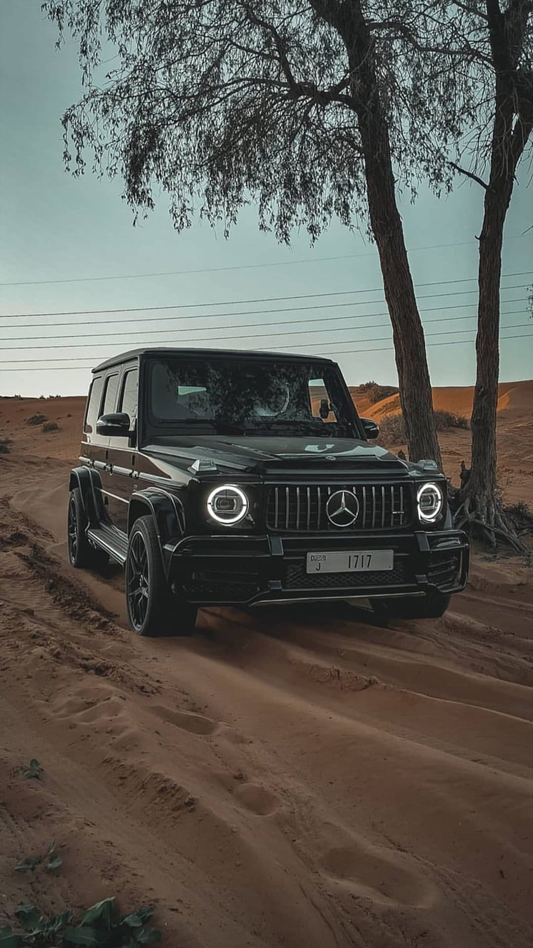 Mercedes G-Wagon driving over golden sand dunes under a pale sky with dry desert trees in the background.