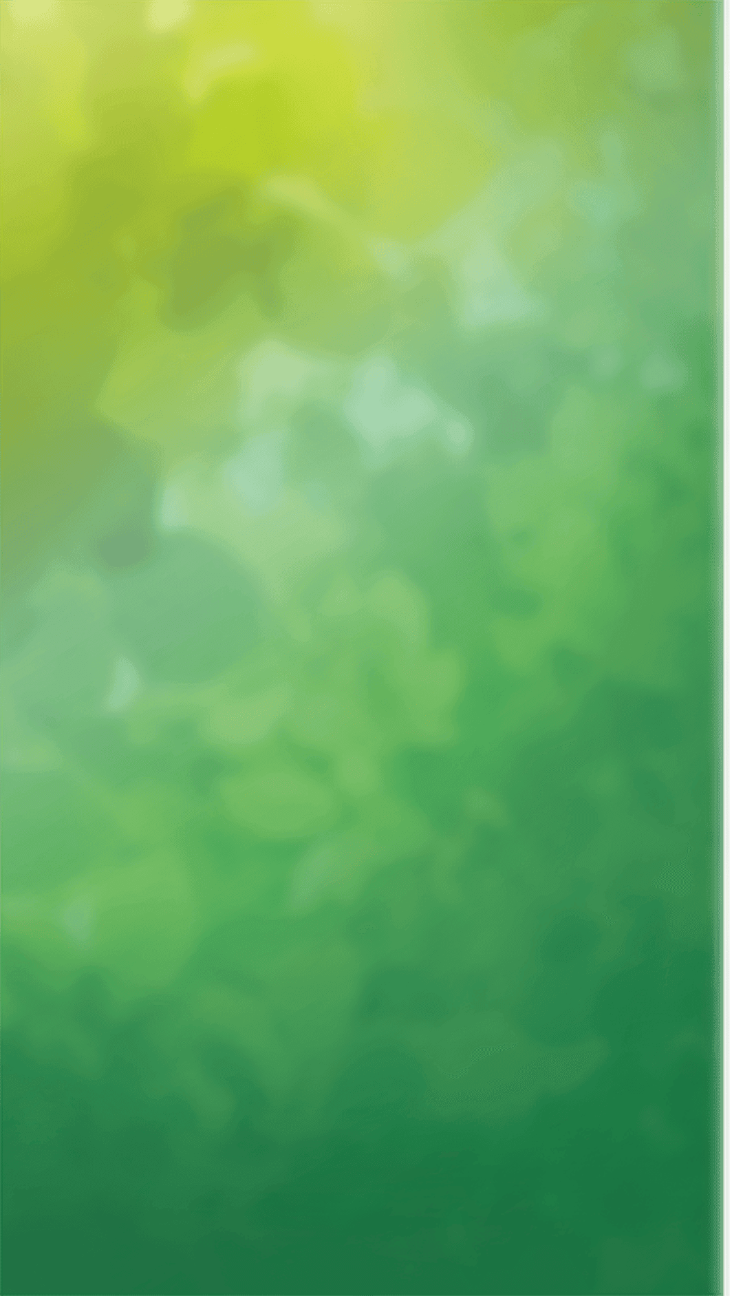 Green gradient backdrop features a smooth transition from bright lime to deep forest shades with a blurred finish.