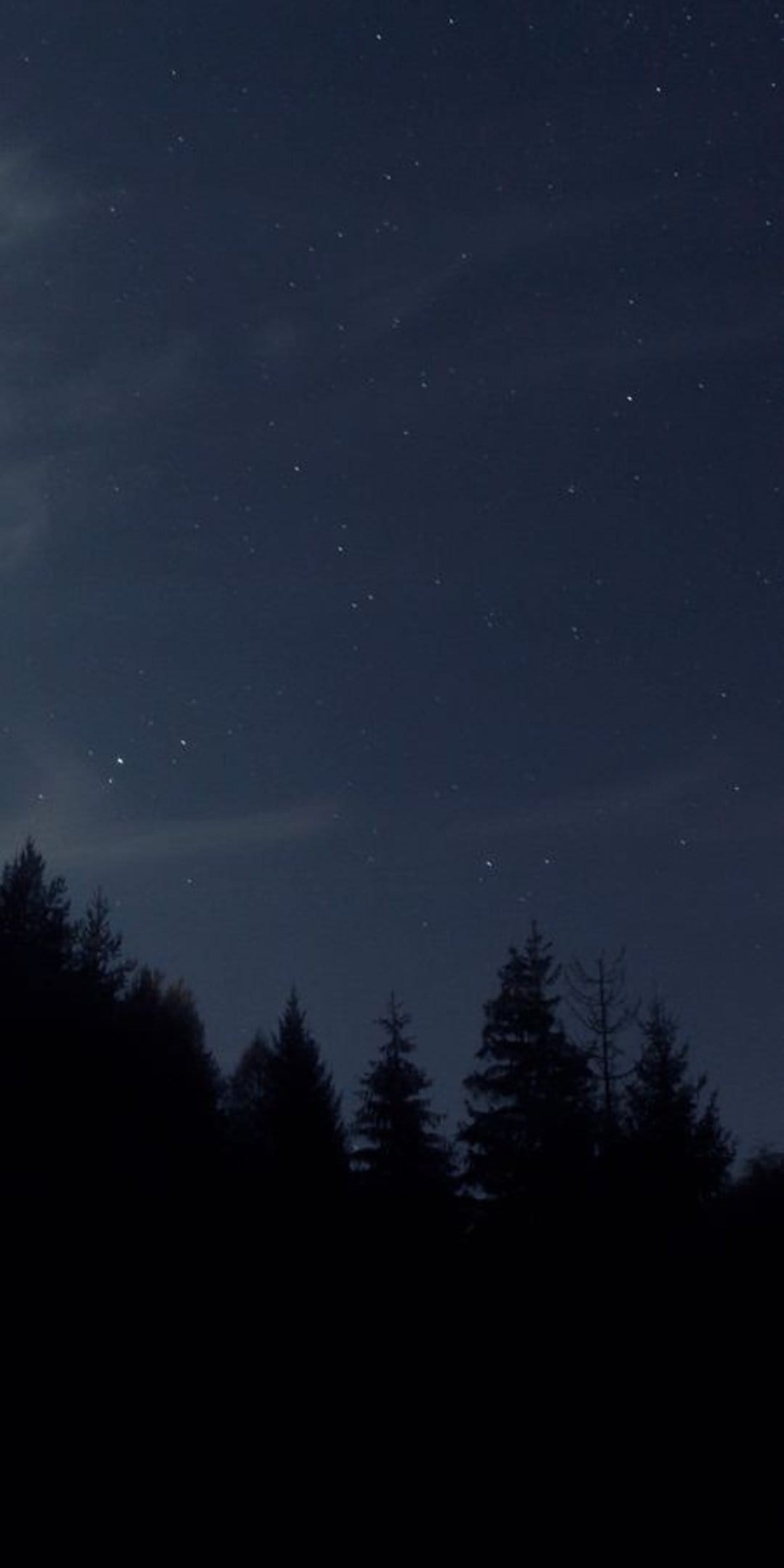 Jagged pine tree silhouettes rise against a deep indigo sky filled with countless stars and faint horizon clouds.