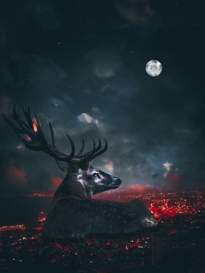 moon,deer,city,darkness,twilight,sky,night sky,night,horns,sky background,red,animal,background,photoshop,photo,fantastic,beautiful wallpaper,nature,fantasy,surrealism