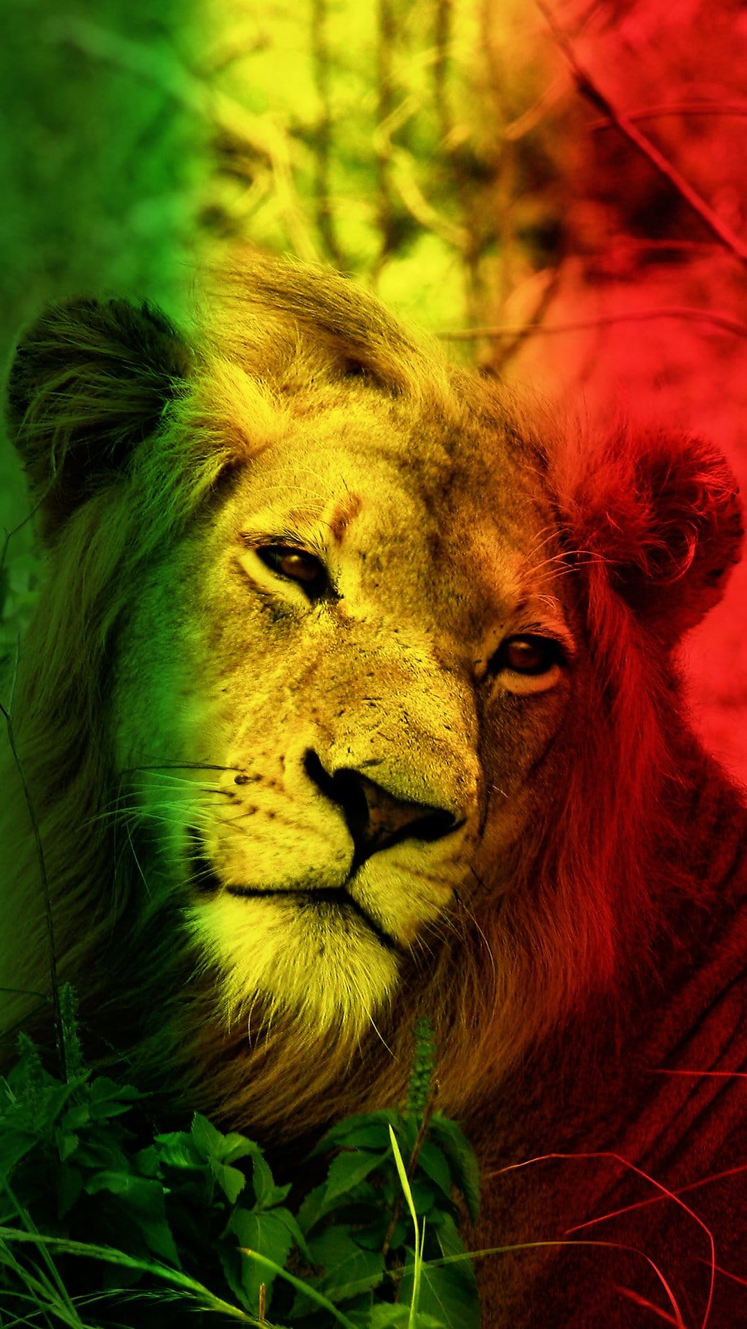 Lion face with a mane in red, yellow, and green hues stares forward against a blurred green foliage backdrop.