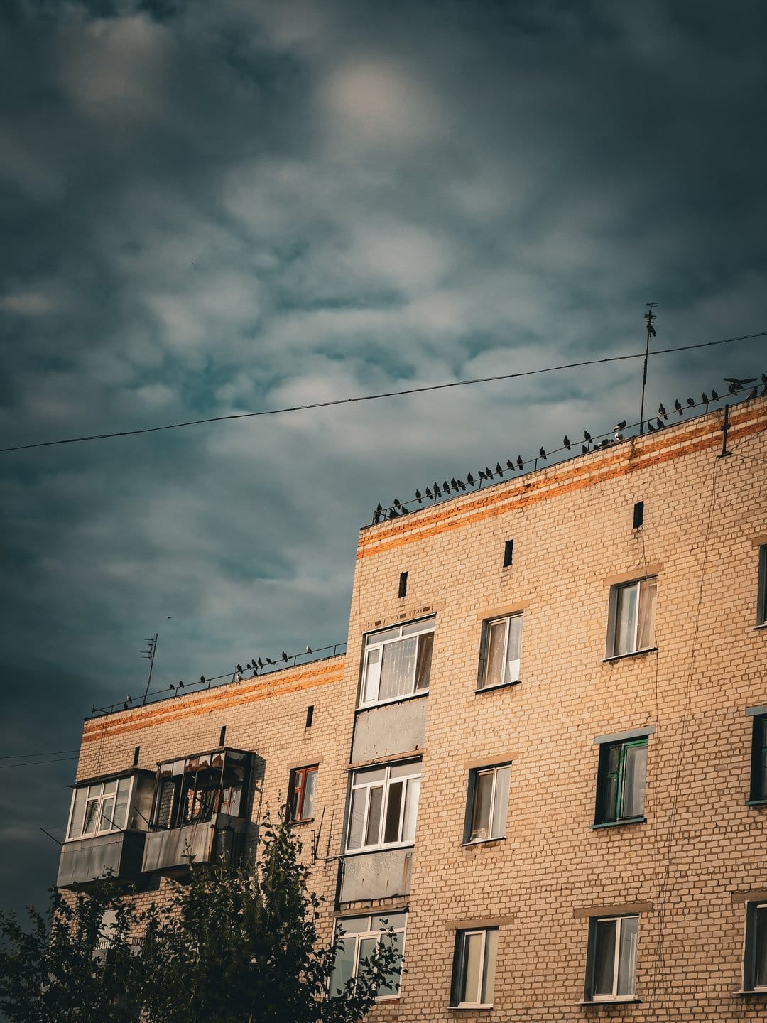 Pigeons perch along a light brown brick apartment ledge under a vast expanse of heavy, grey storm clouds.
