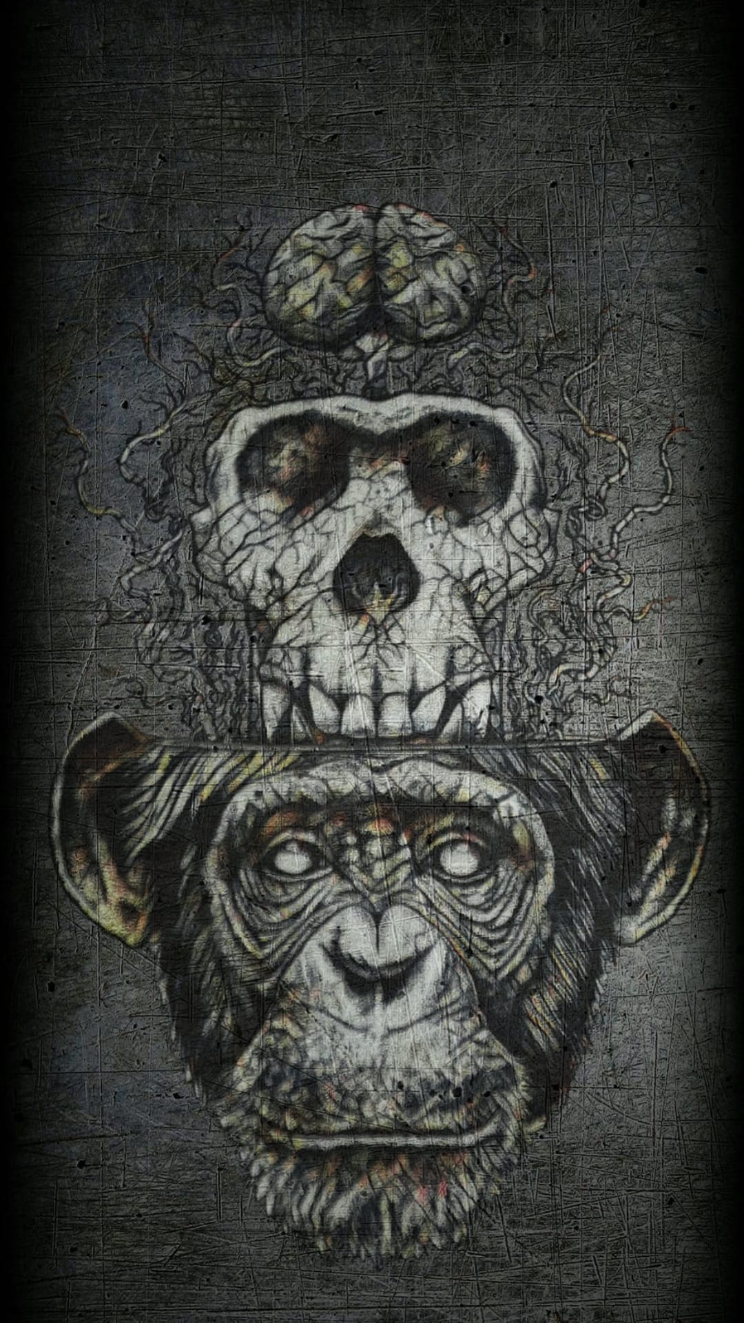 Chimpanzee head with an integrated skull and pink brain set against a dark, gritty charcoal textured surface.