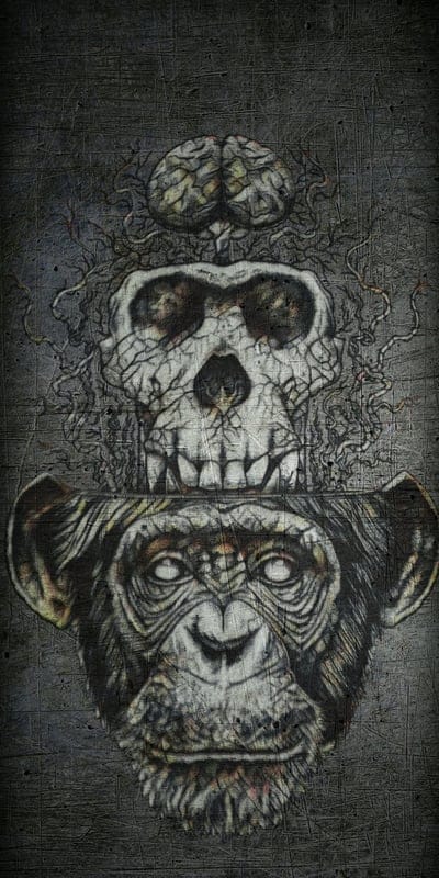 Primate Skull,monkey,ape,grunge,brain,dark,awesome,best