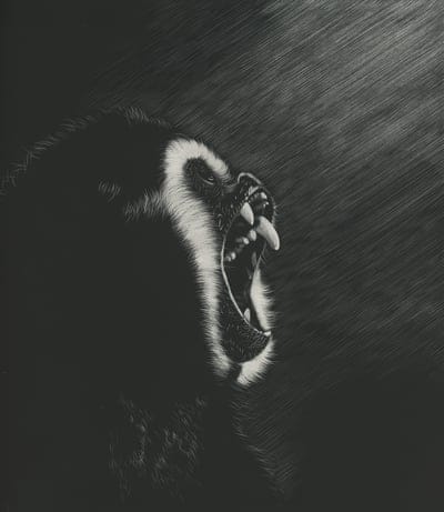 monkey,grin,art,dark