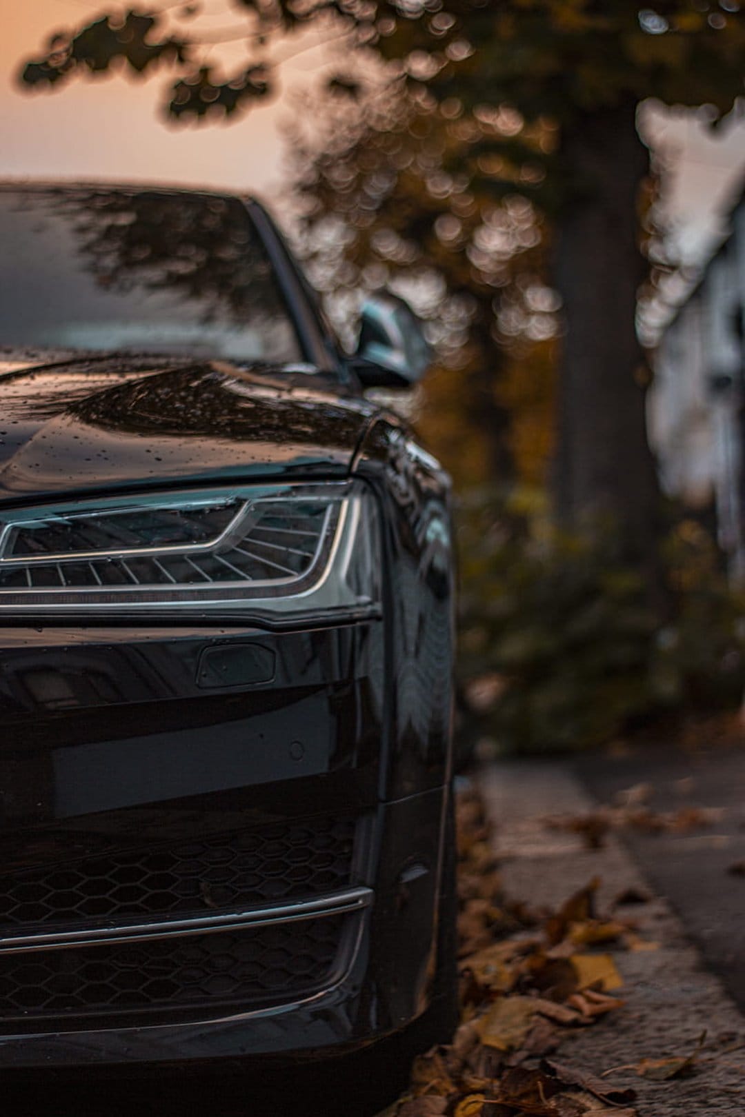 Black Audi sedan front end on a leaf-strewn street with blurred autumn trees in the background at sunset.