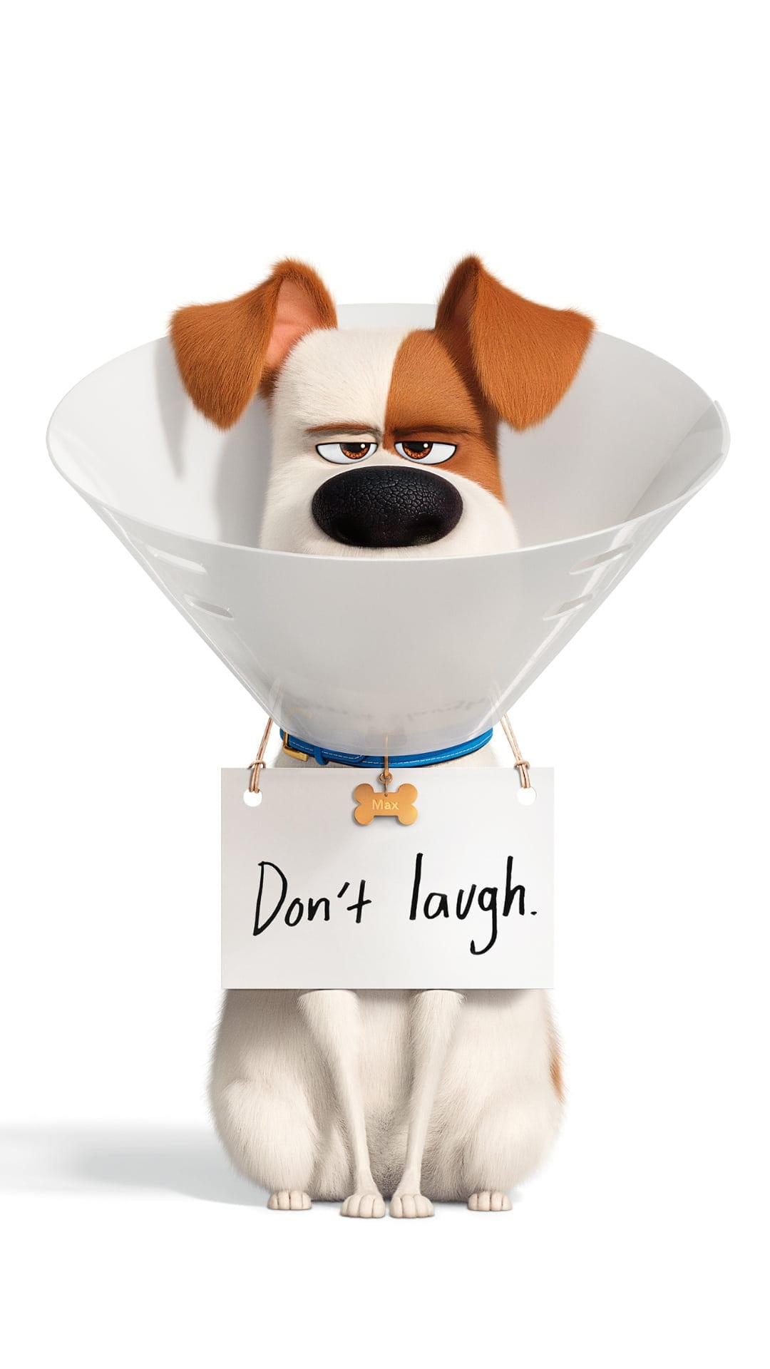 Max the dog from Secret Life of Pets wearing a white cone and holding a cardboard sign saying Don't laugh.