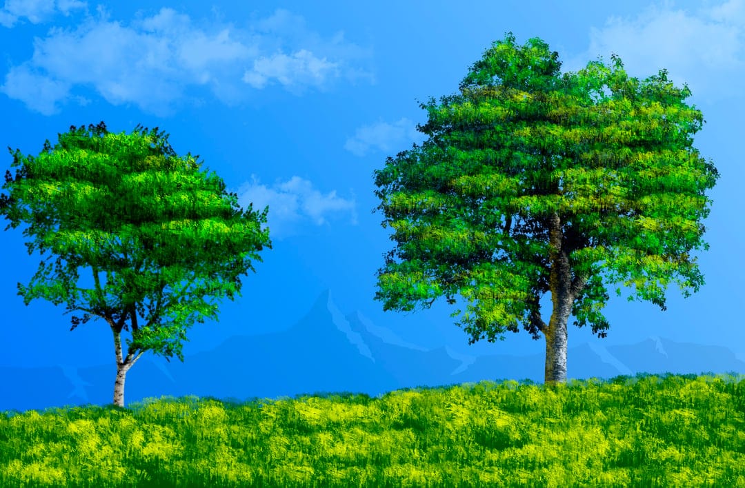 Two lush green trees stand on a sun-drenched grassy hill beneath a clear blue sky with thin white clouds.