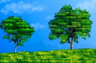 Trees,meadow,mac wallpaper,beautiful wallpaper,nature wallpaper,hd wallpaper,free wallpaper,desktop backgrounds,landscape,nature,wallpaper hd,wallpaper 4k,4k wallpaper,windows wallpaper,full hd wallpaper,wallpaper,nature background,sky background,free bac