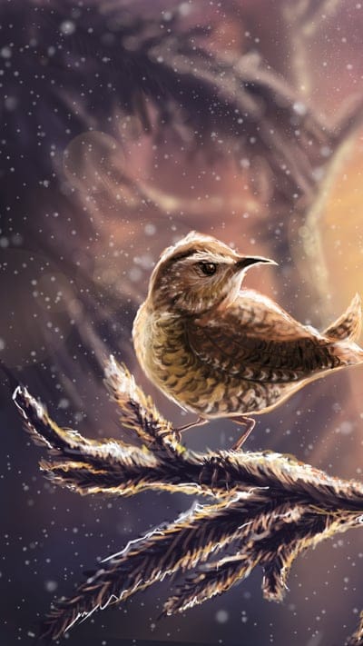 Winter Bird, birds, artist, artwork, digital-art, behance