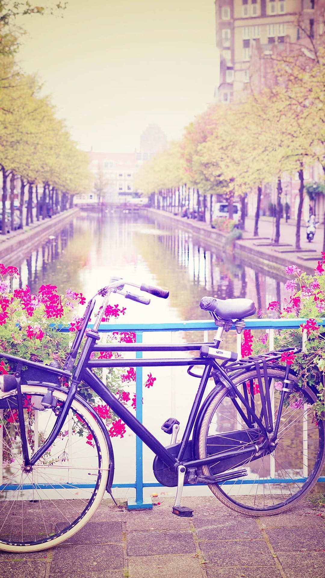Black vintage bicycle with pink flowers parked by an Amsterdam canal featuring historic Dutch architecture.