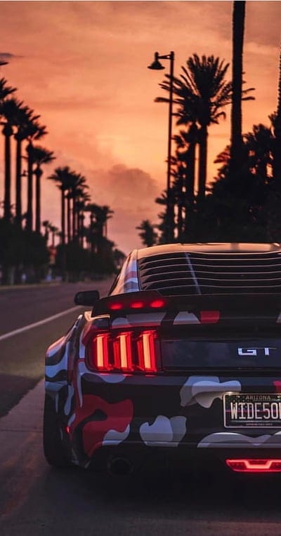 Mustang with Palms, mustang, ford, palms, street, sun, afternoon, tuning, car, mobile wallpaper, android wallpaper, iPhone wallpaper, phone wallpaper