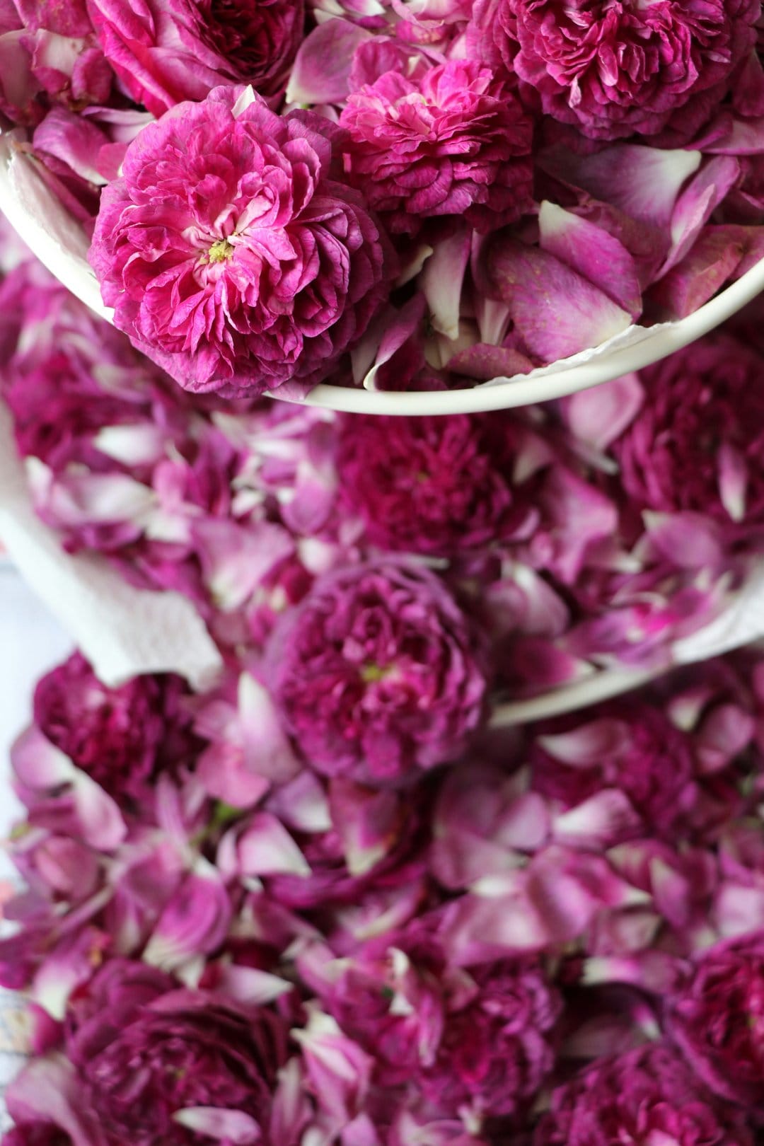 Pink rose petals and blooming flowers arranged in a dense, layered composition with soft fuchsia and white gradients.