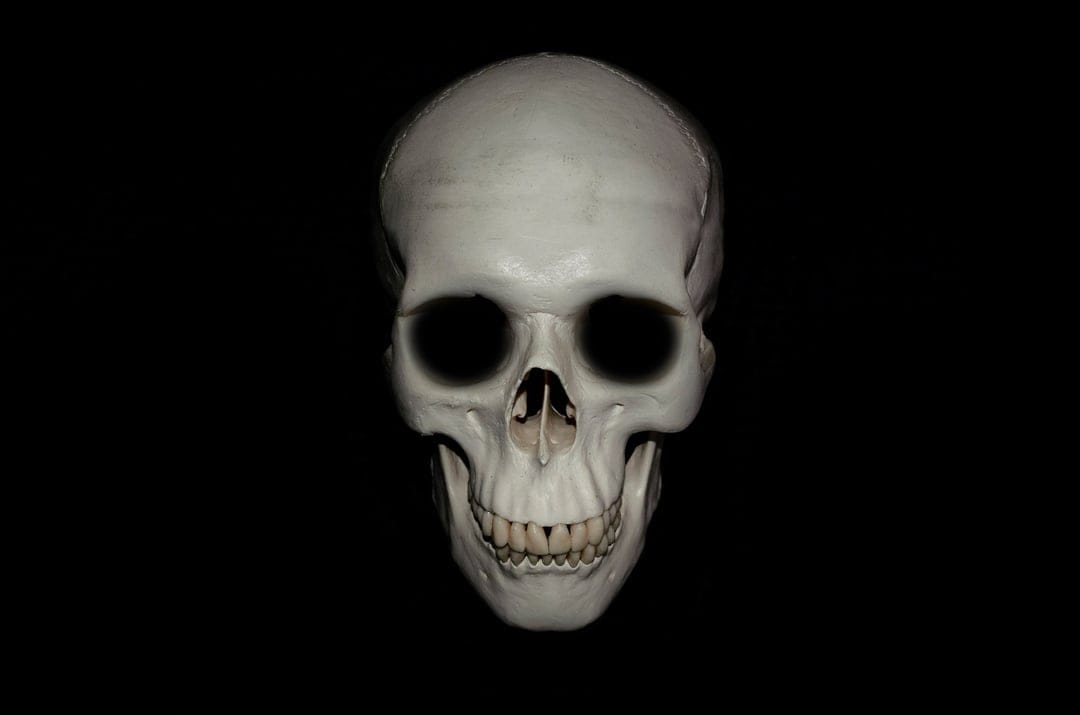 Human skull with prominent teeth and dark eye sockets rests against a solid black void in a vertical orientation.