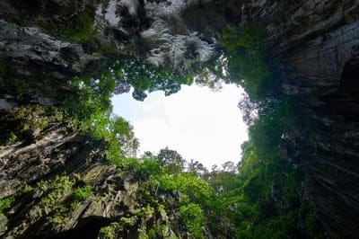 cave,desktop backgrounds,hd wallpaper,nature,tree,asian,malaysia,full hd wallpaper,sky,free wallpaper,wild,cool backgrounds,laptop wallpaper,mac wallpaper,windows wallpaper,sky background,wallpaper 4k,gezi,wallpaper hd,trip