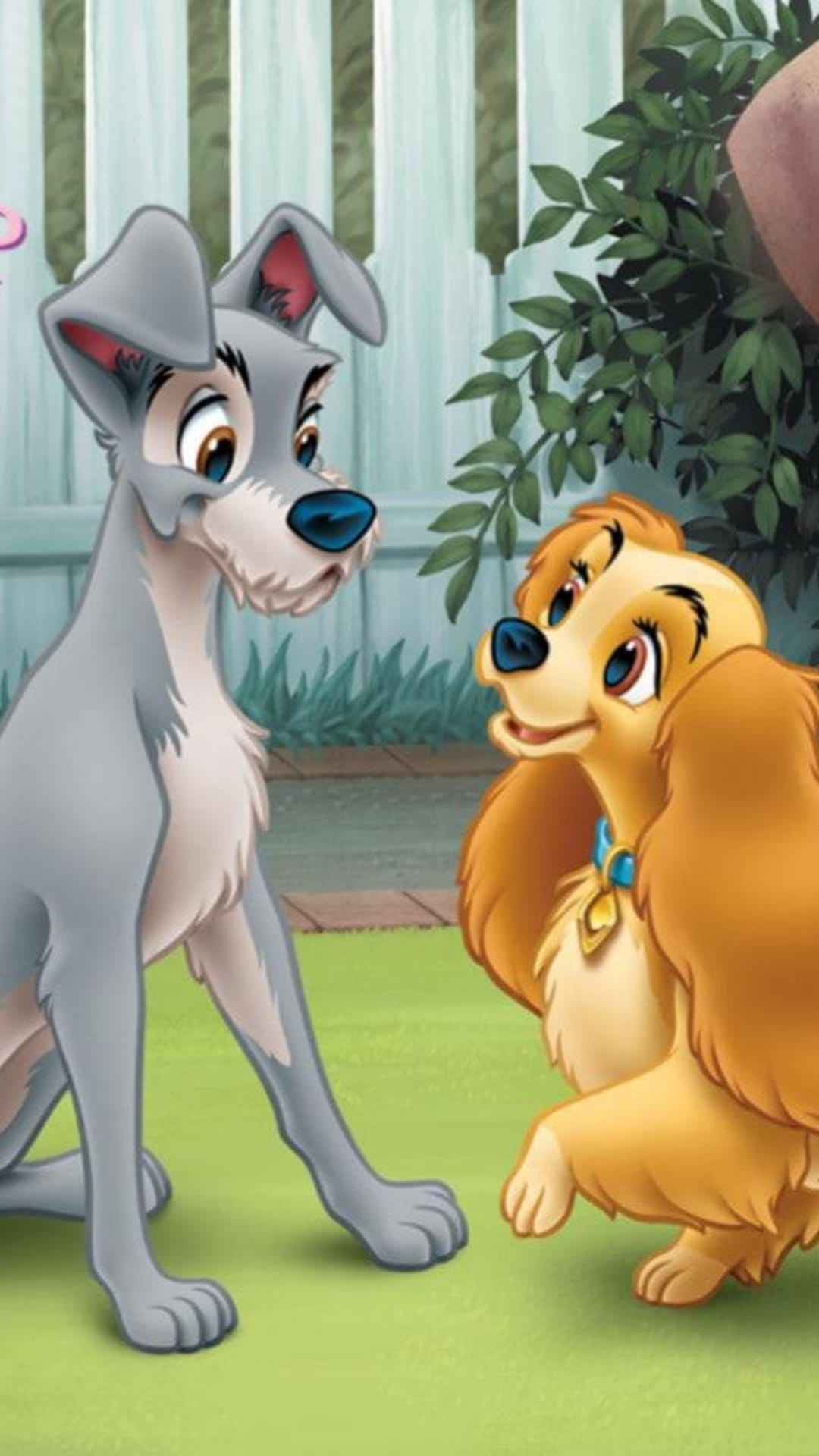 Lady and Tramp sit in a green garden beside a white picket fence, looking at each other with affection.