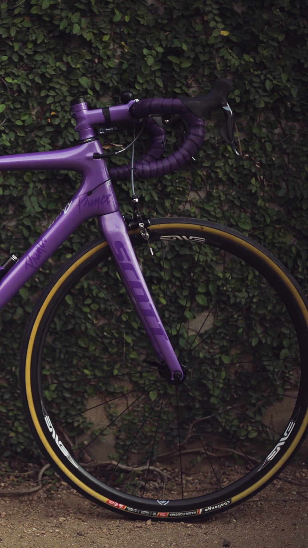 Purple Scott Prince road bike with yellow sidewall tires leaning against a lush green ivy-covered wall.