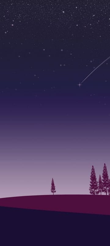 aesthetic
