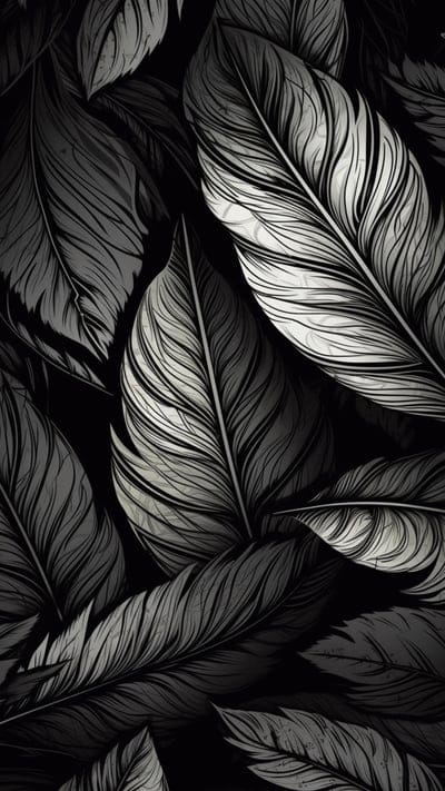 feathers,dark,lines,art