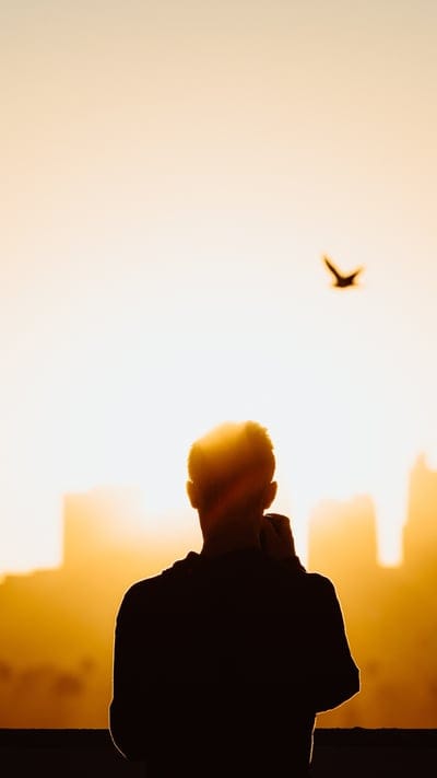 Sunrise, Silhouette, Contemplation, Urban, Cityscape, Golden Light, Bird, Solitude, Morning, Sky, Backlit, Man, Alone, Serene, Peaceful, Thoughtful, Dawn, Haze, Distant City, Outdoors