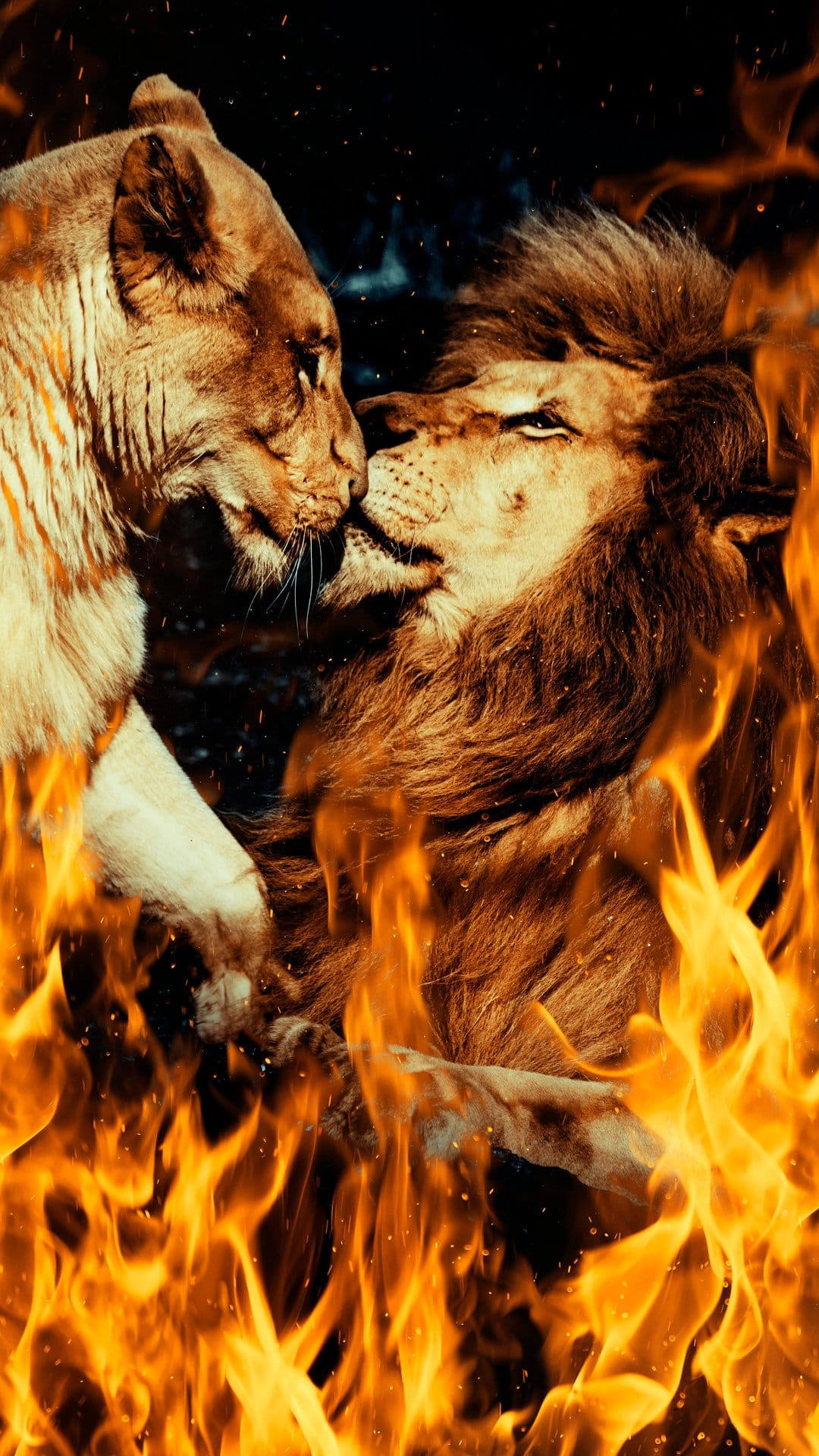 Male and female lions surrounded by glowing orange flames with intricate fur details and intense glowing embers.