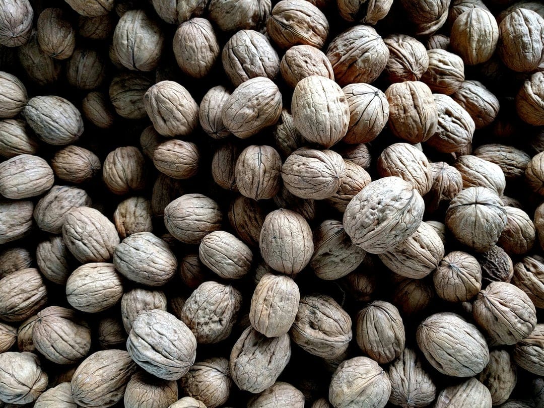 Uncracked walnuts in their beige shells create a dense, textured pattern with deep ridges and organic details.