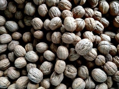 Walnuts wallpaper,Walnuts,Walnuts background,nuts wallpaper