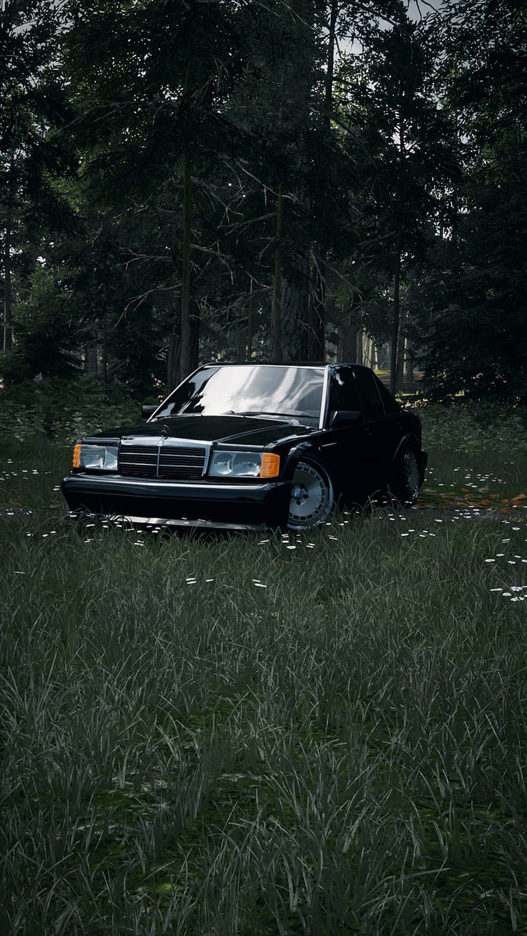 Black Mercedes 190E parked in long grass among tall trees with sunbeams filtering through a dark forest canopy.