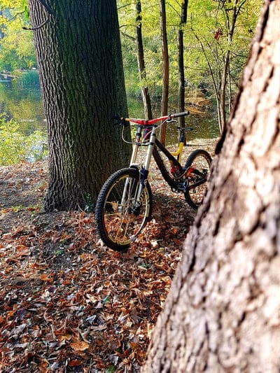 Downhill, bicycle, bike, fox, mobile wallpaper, android wallpaper, iPhone wallpaper, phone wallpaper