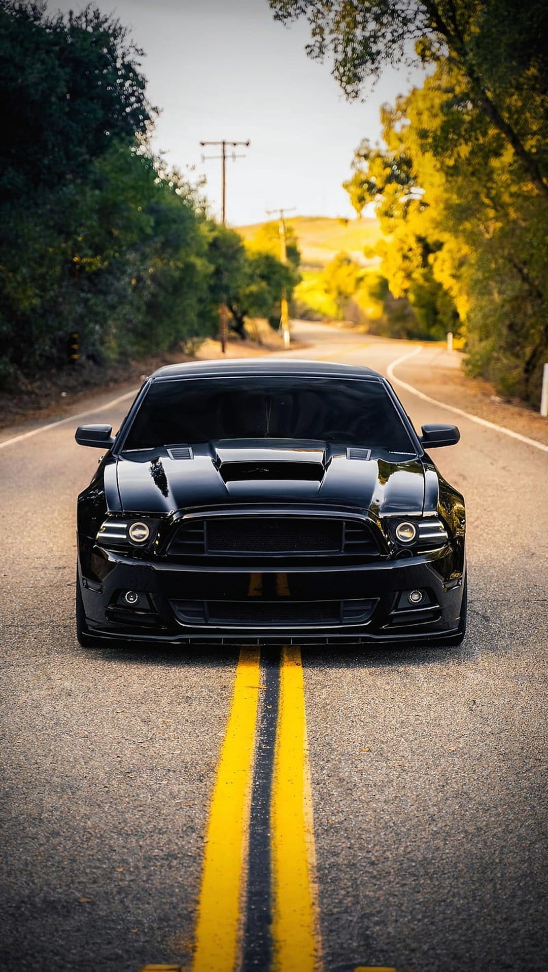 Black Ford Mustang on a winding forest road with double yellow lines under golden sunlight and green trees.