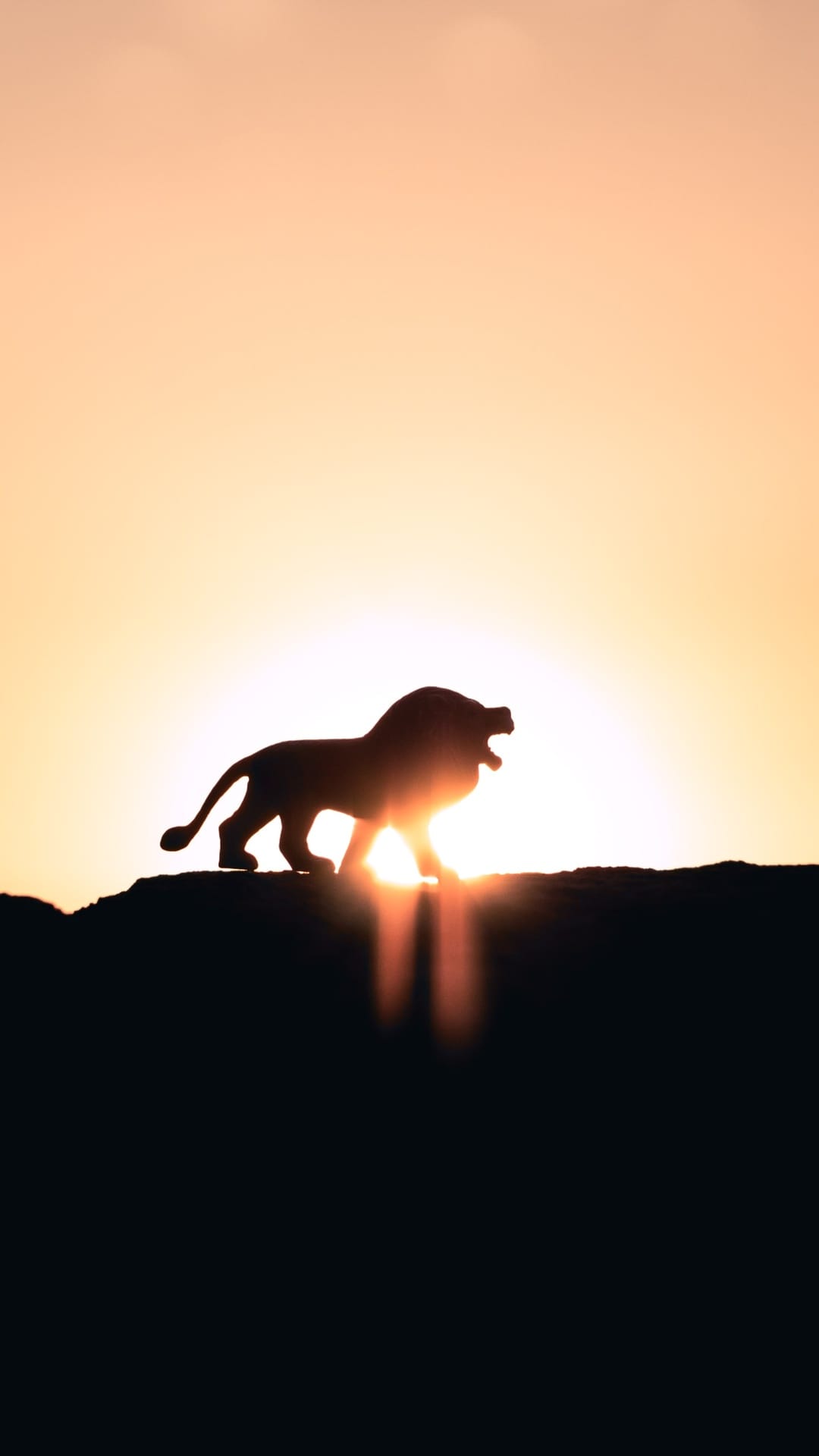 Lion silhouette stands on a horizon line against a massive glowing sun during a golden African sunset.