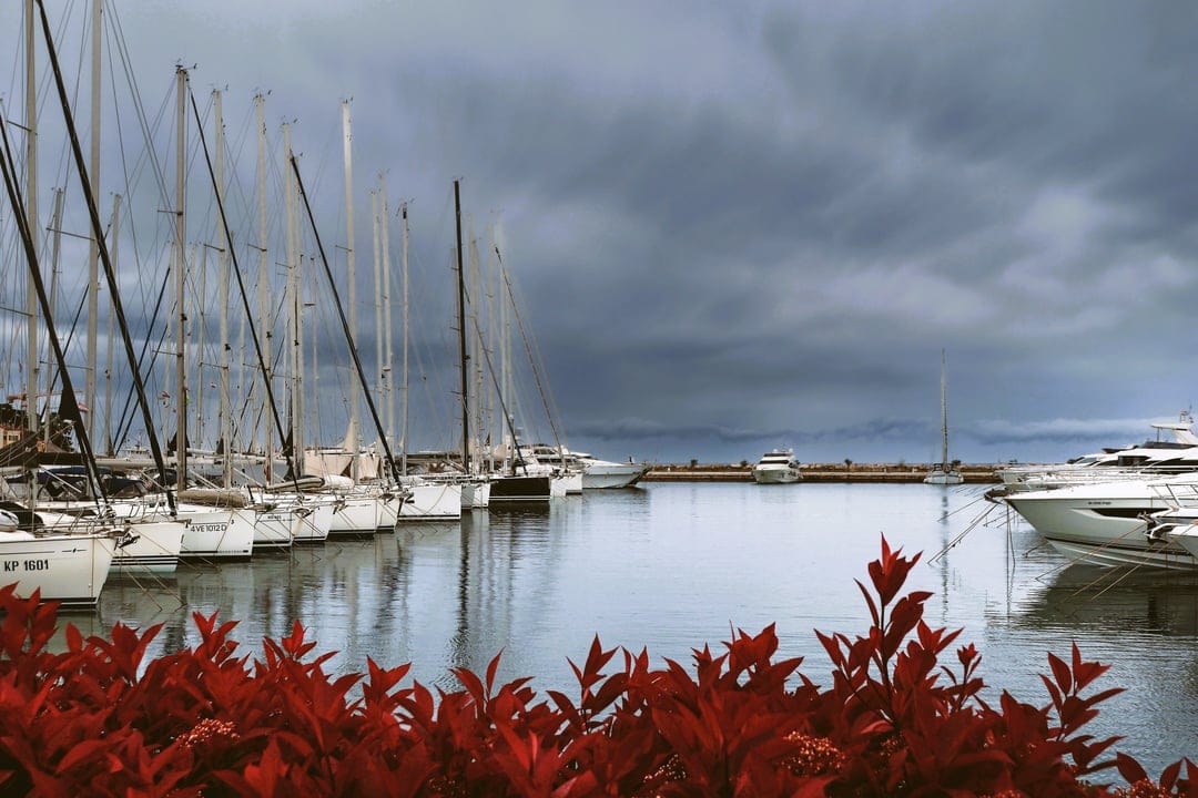 Sailboats and yachts docked in a harbor under dark storm clouds with vibrant red leaves in the foreground.