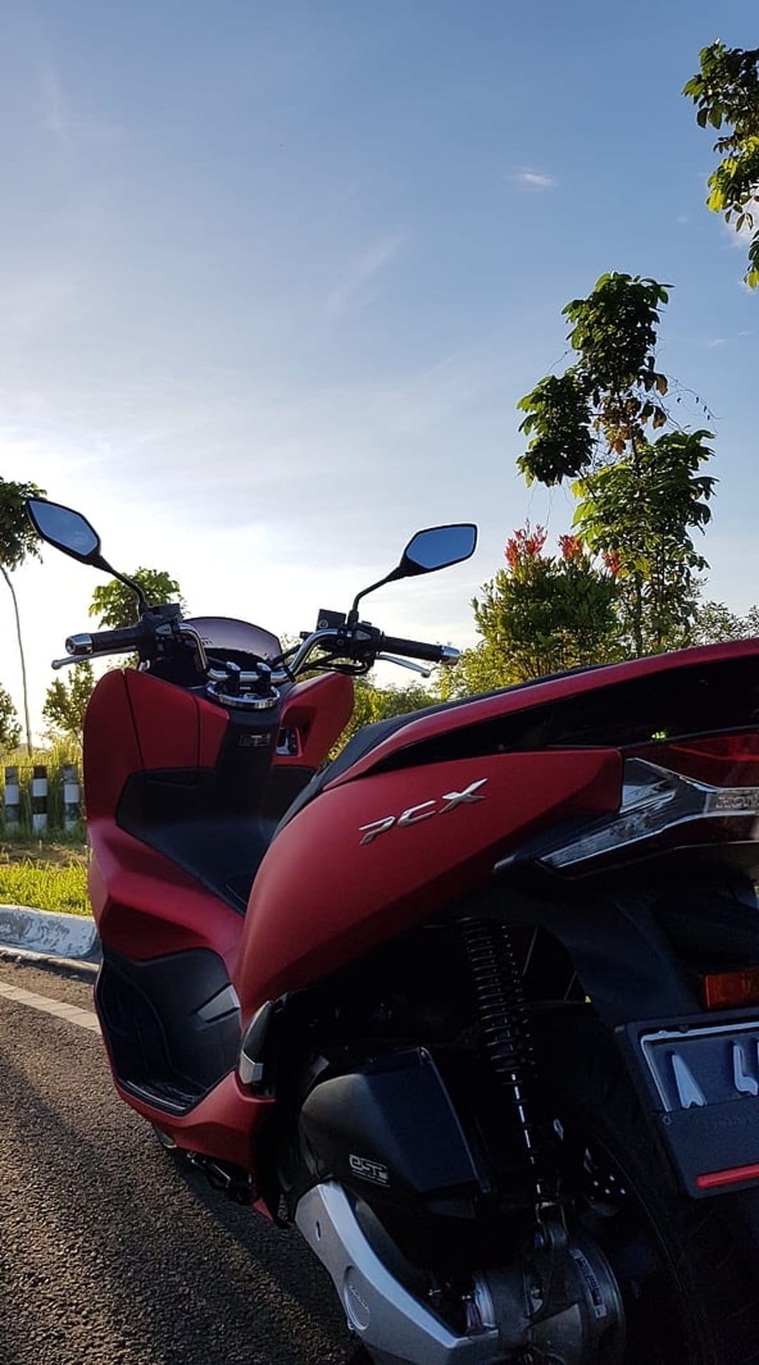 Red Honda PCX motorcycle parked on asphalt with lush green trees and a clear blue sky in the background.