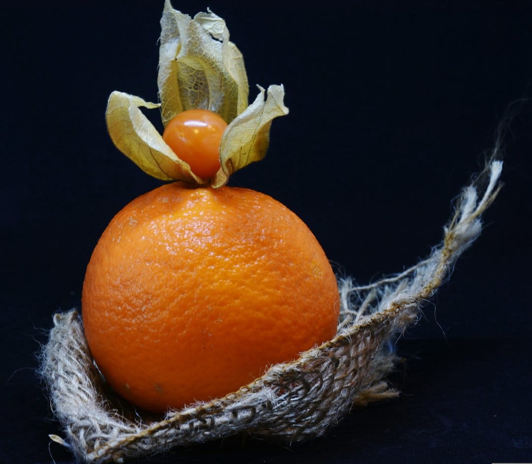 Orange clementine fruit with a papery physalis berry resting in a brown woven nest against a dark backdrop.