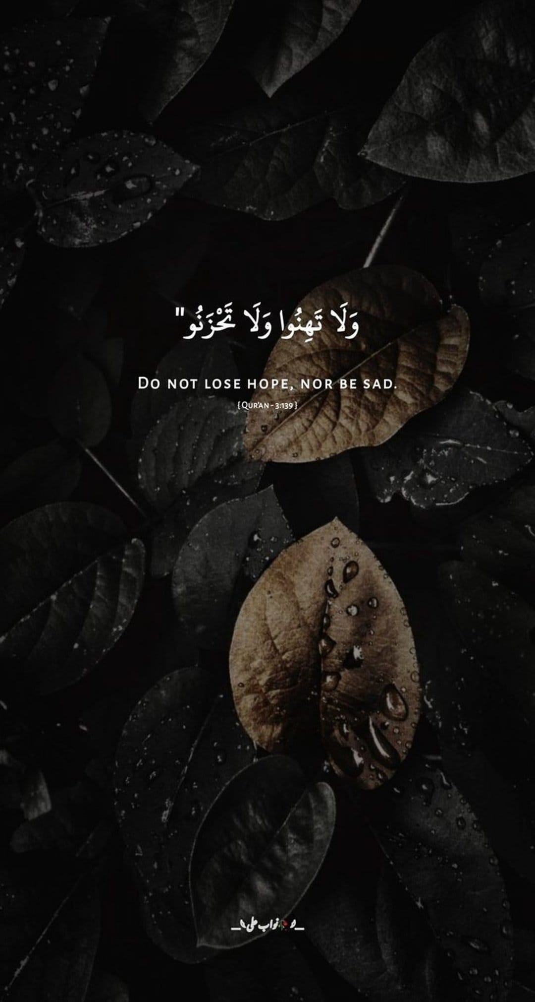 Arabic and English Quranic calligraphy sits beside a glowing warm leaf on a dark textured botanical background.