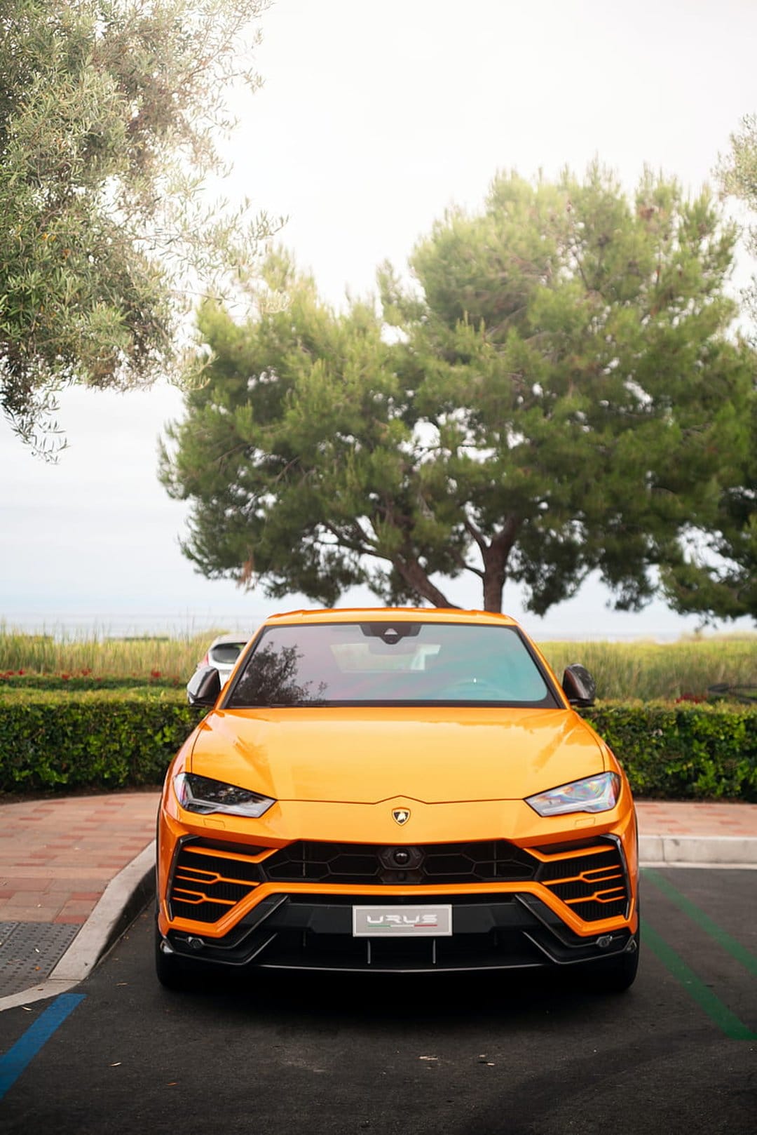 Orange Lamborghini Urus parked in a scenic lot with green trees and the blue ocean visible in the background.