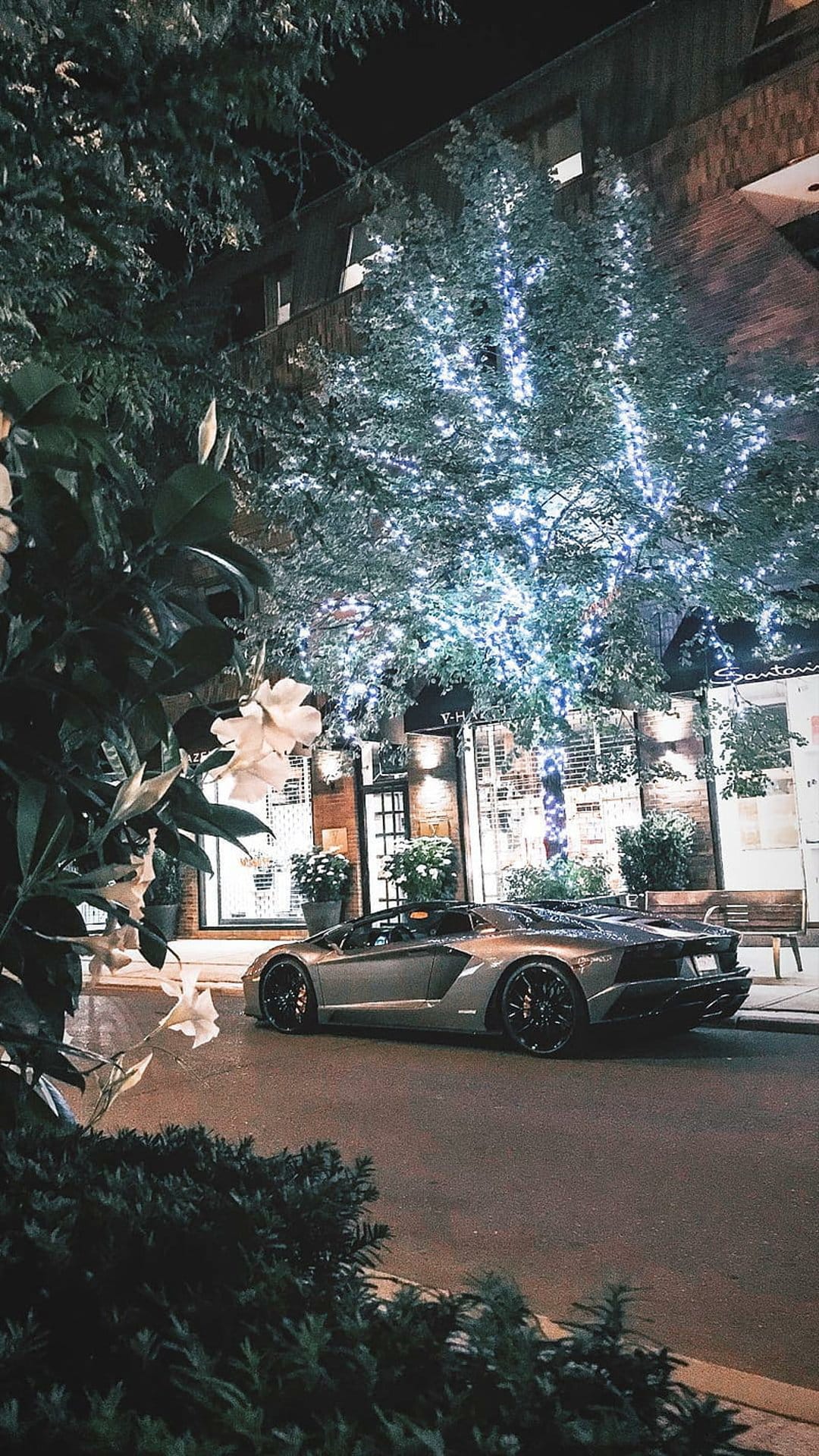 Silver sports car parked on a night street beneath a tree glowing with white fairy lights and green foliage.