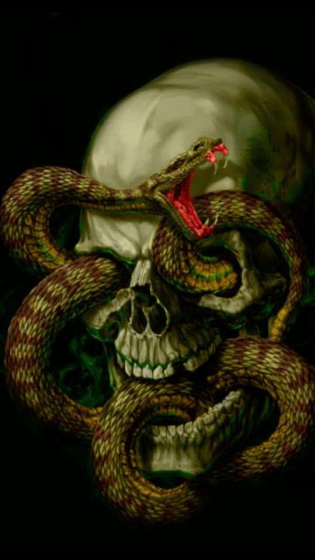 Viper with open fangs coils around a weathered human skull against a black backdrop with swirling green mist.