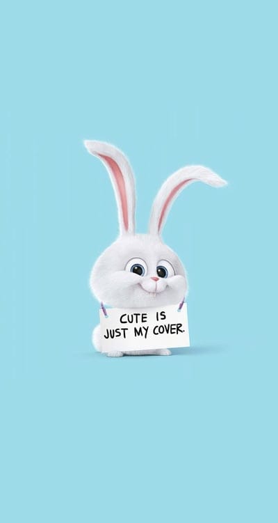 cartoon,bunny