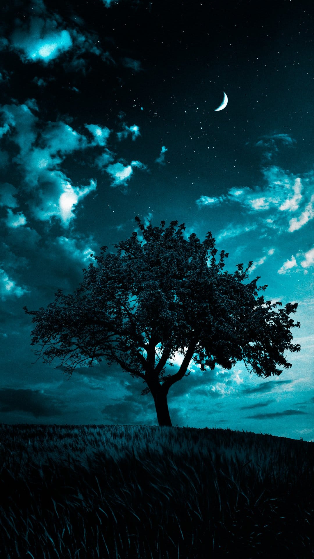 Solitary tree silhouette on a hill beneath a crescent moon and turquoise clouds in a starry night sky.