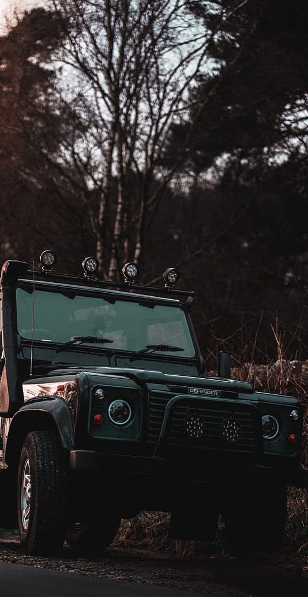 Black Land Rover Defender with roof lights parked on a dirt path within a dense, foggy pine forest at dusk.