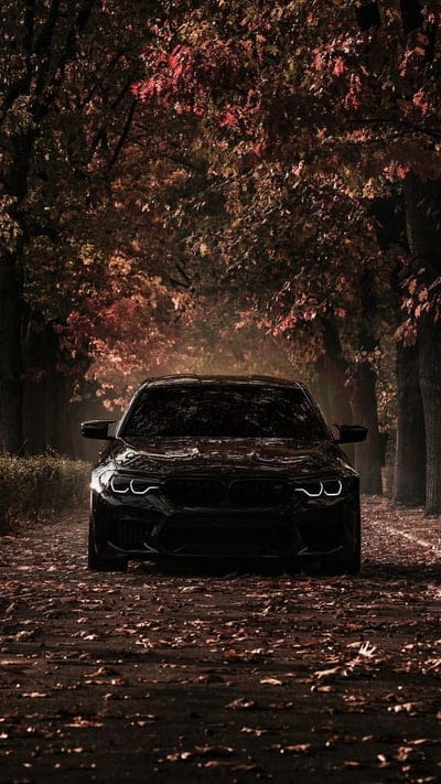 Black Knight, bmw, car, supercar sports, autumn, halloween, forest, america, mobile wallpaper, android wallpaper, iPhone wallpaper, phone wallpaper