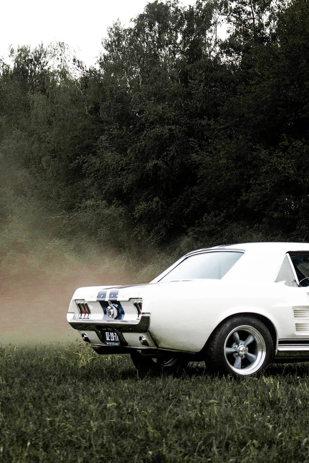 White 1960s Shelby Mustang GT500 parked in a foggy grass field with a dark, dense pine forest in the distance.