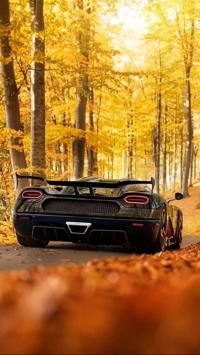 Koeingsegg Agera, autumn, car, carbon, fast, mobile wallpaper, android wallpaper, iPhone wallpaper, phone wallpaper