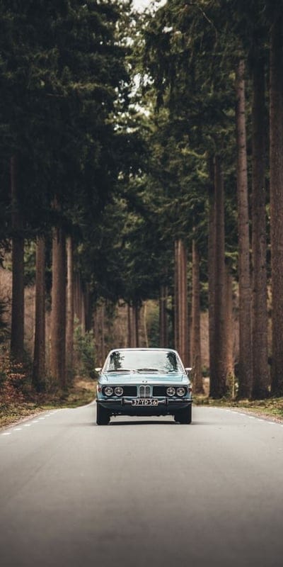 bmwcar,vintage,cars,forest
