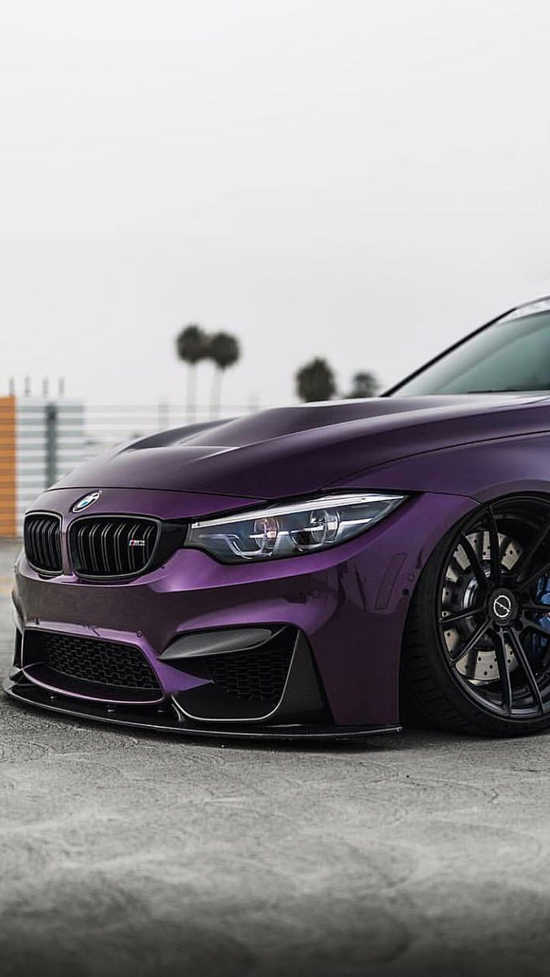 Purple BMW M4 sports car with black rims, blue calipers, and dark grilles parked on asphalt near palm trees.