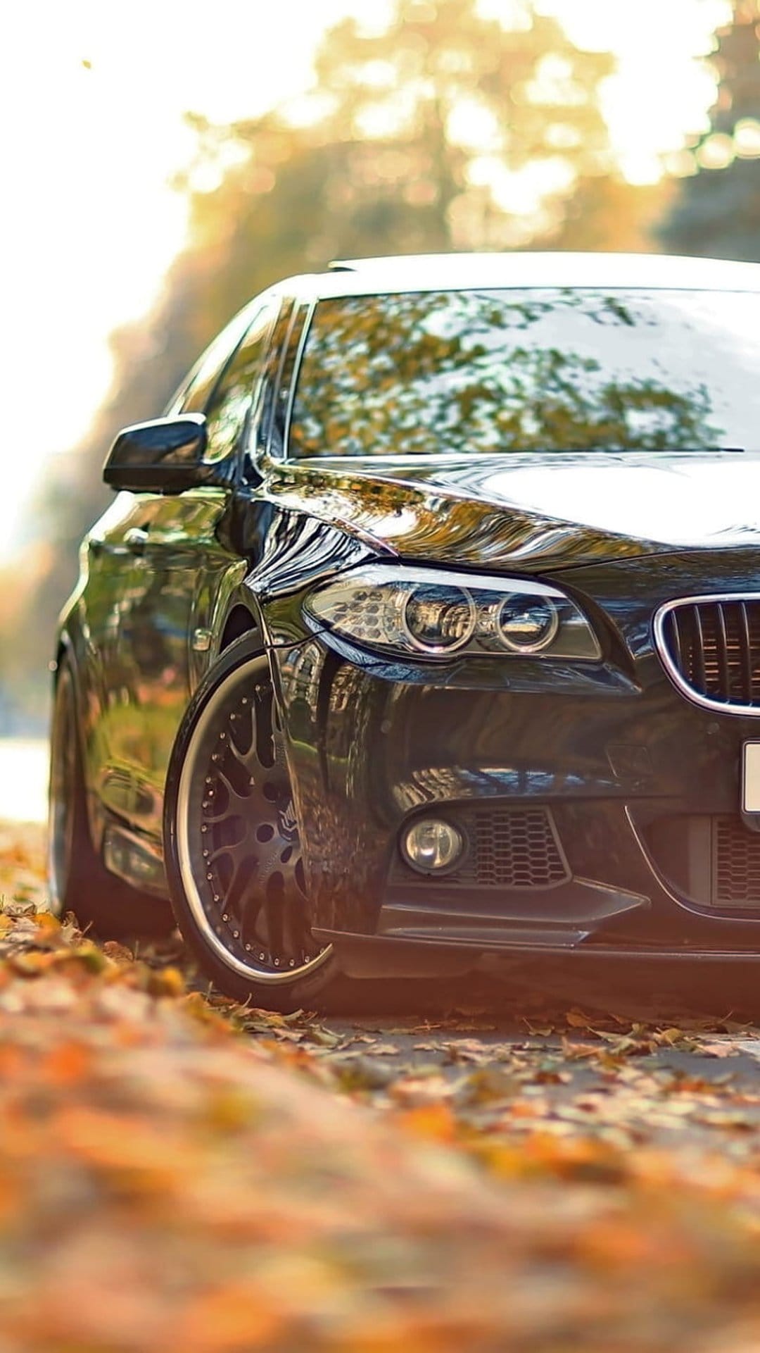 Black BMW sedan parked on a leaf-covered road with golden autumn trees blurred in the soft background.