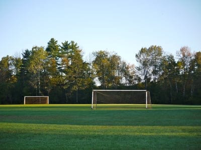 field,gate,net,trees,football